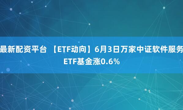 最新配资平台 【ETF动向】6月3日万家中证软件服务ETF基金涨0.6%