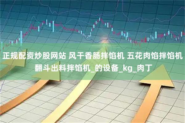 正规配资炒股网站 风干香肠拌馅机 五花肉馅拌馅机 翻斗出料拌馅机_的设备_kg_肉丁