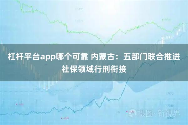 杠杆平台app哪个可靠 内蒙古：五部门联合推进社保领域行刑衔接